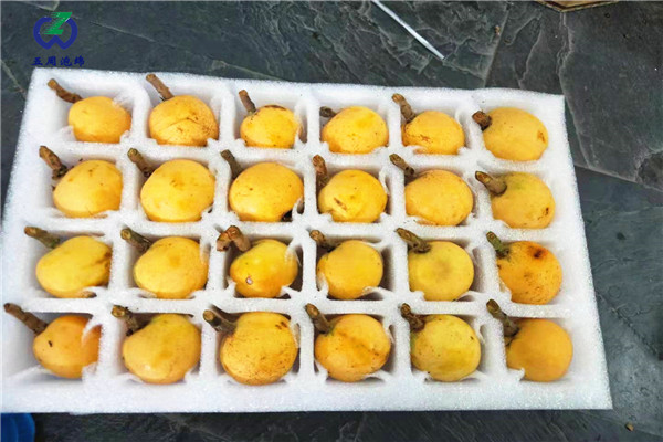 警惕：珍珠棉水果托的制作材料有毒嗎？